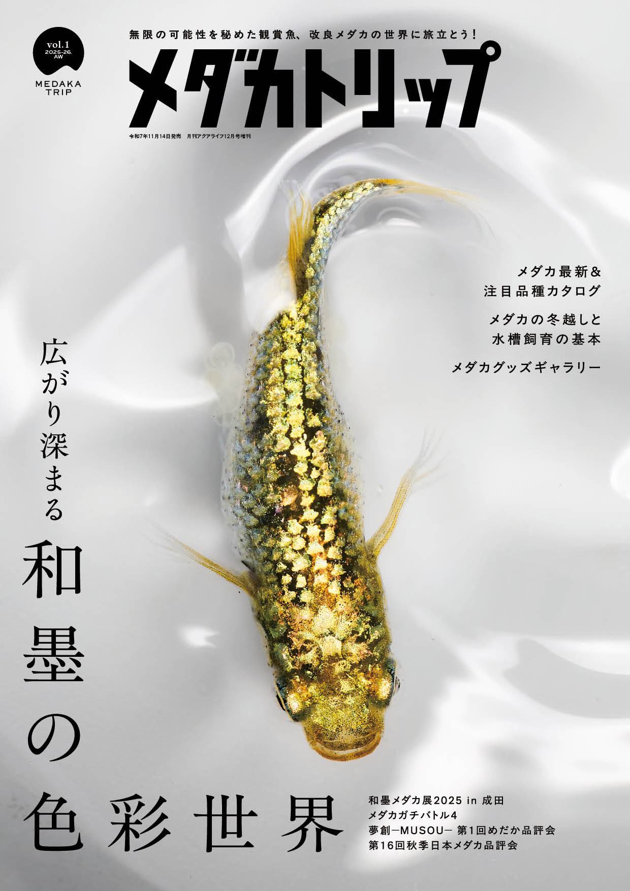 高級メダカから新種メダカまで！ - メダカ屋えん通販