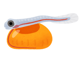 冬の室内繁殖「成功までの流れ」