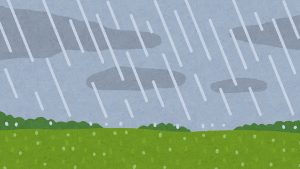メダカは雨に当たっても大丈夫？